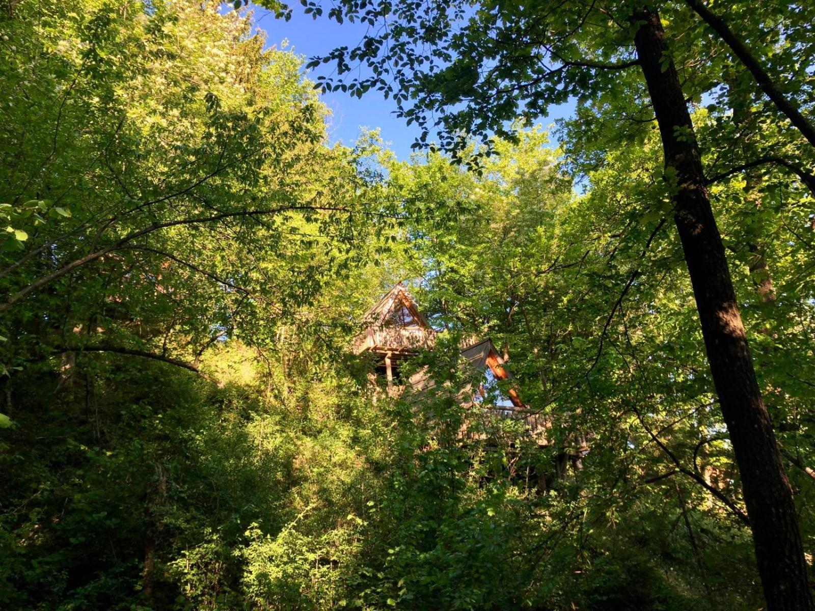Hotel Glamping Savinja Ljubno Exterior foto