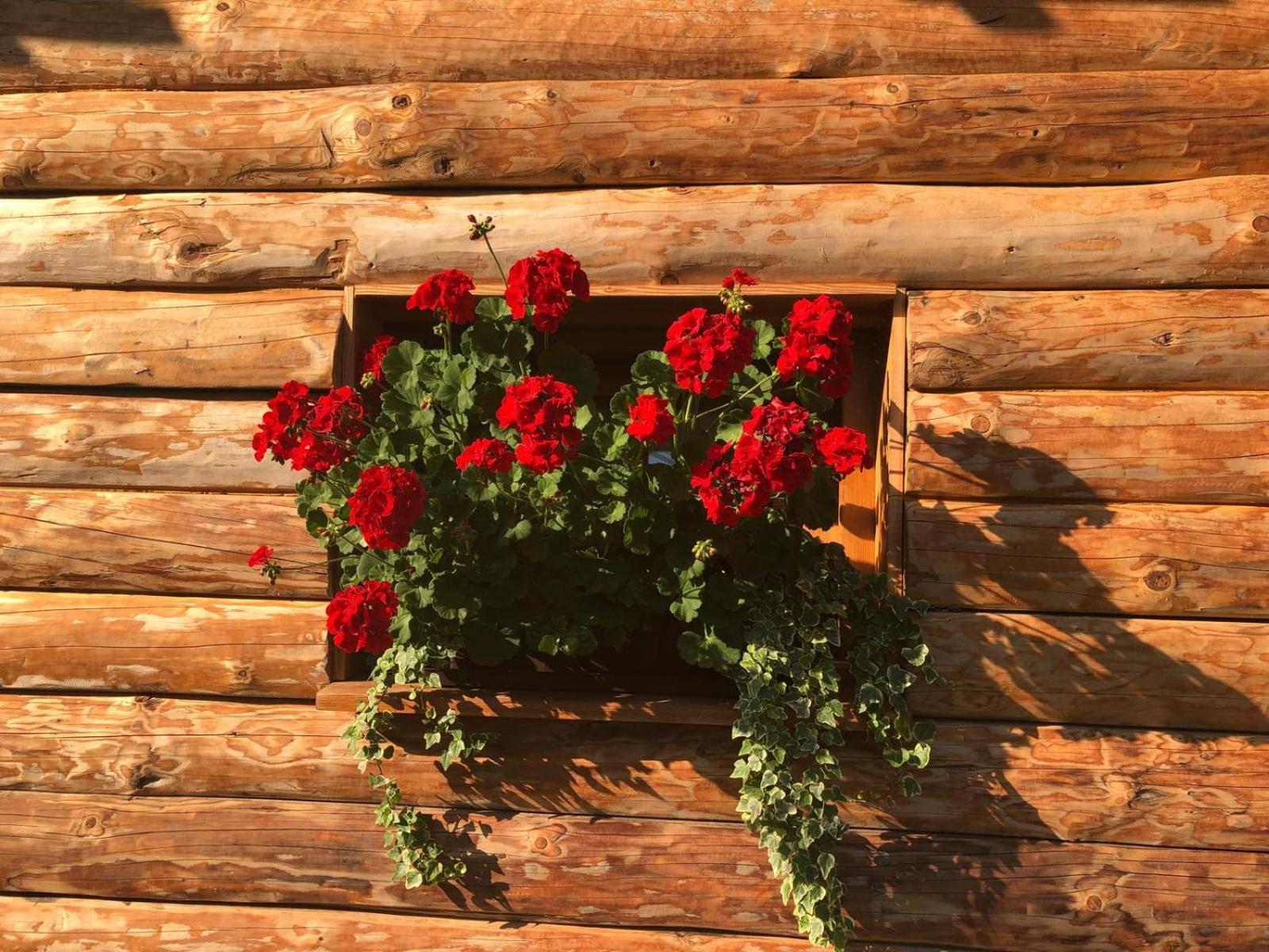 Hotel Glamping Savinja Ljubno Exterior foto